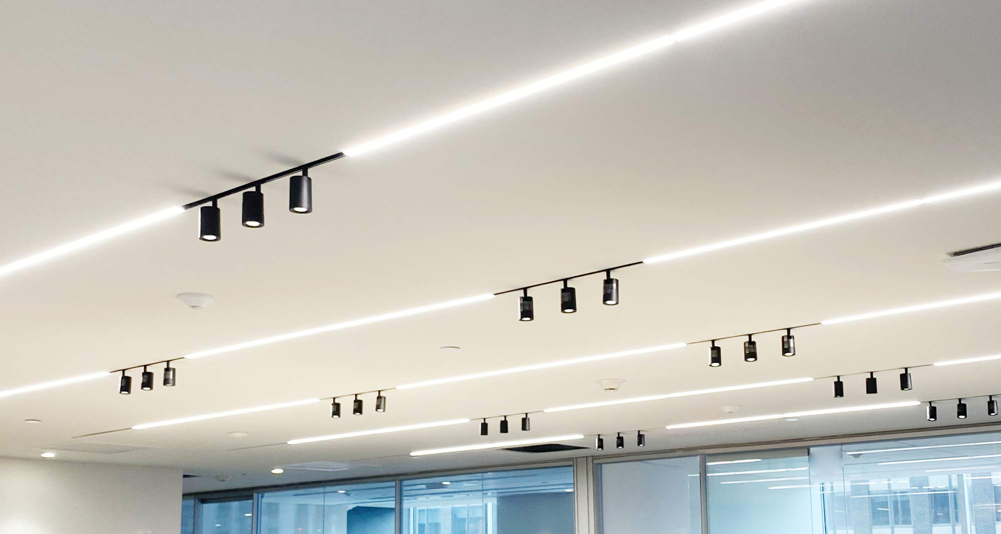 Solais Lucie series tracklights installed in a hardlid ceiling